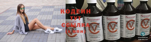 дурь Гусиноозёрск