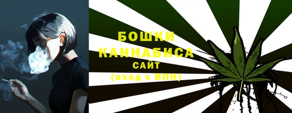 дурь Гусиноозёрск