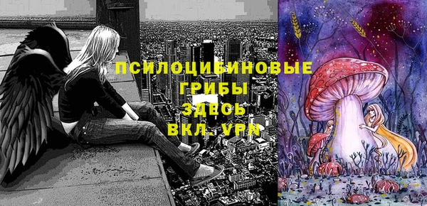 дурь Гусиноозёрск
