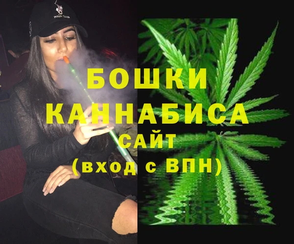 дурь Гусиноозёрск