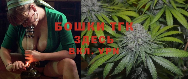 дурь Гусиноозёрск