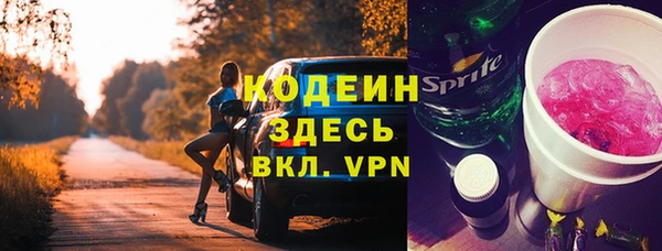 дурь Гусиноозёрск