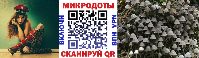 Псилоцибиновые грибы MAGIC MUSHROOMS  Купить закладки  Мантурово 
